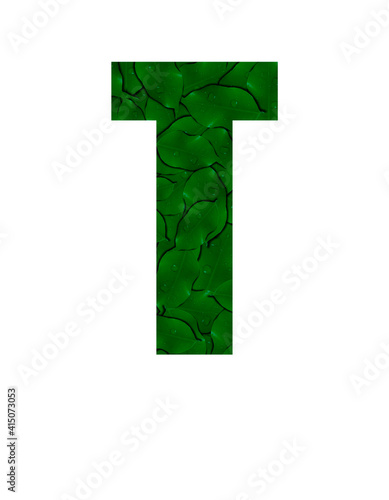 Free Download Letter T of the alphabet with a photograph of green leaves with water drops. Letter T made from green leaves isolated on white Photo. Alphabet symbols with green plant pattern texture inside - GFXLoad