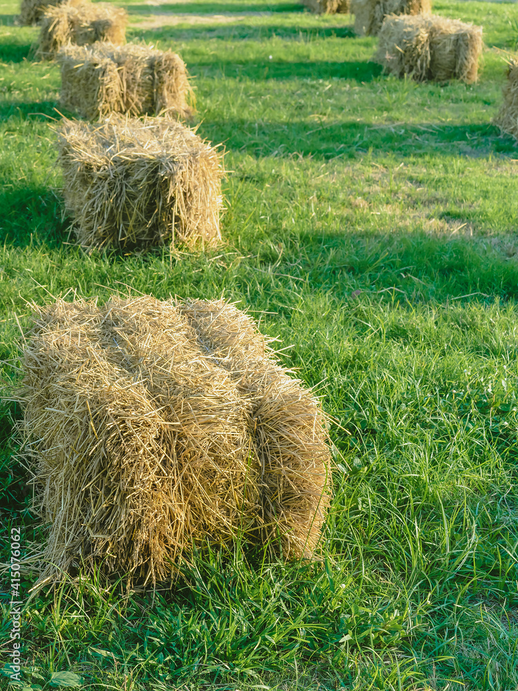 Seats and tables made from straw bales for event and party laid on lawn yard. Straws stubble decorated for sitting in the countryside. Furniture made of pallets and straw bales. Selective focus. Seats and tables made from straw bales for event and party laid on lawn yard. Straws stubble decorated for sitting in the countryside. Furniture made of pallets and straw bales. Selective focus.