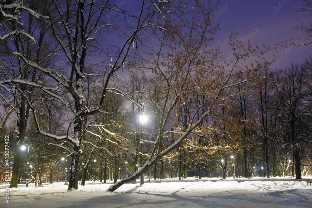 The city park is illuminated with electricity at night.