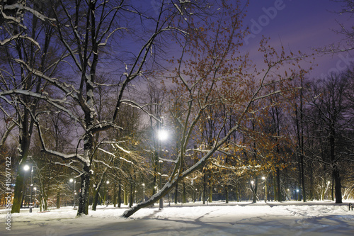 Obraz na płótnie The city park is illuminated with electricity at night. w salonie