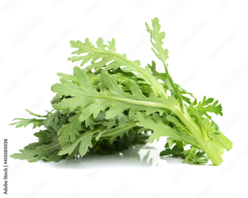 Shungiku, also known as tong hao, or edible chrysanthemum, Isolated on white. A leaf herb commonly used in asian food Shungiku, also known as tong hao, or edible chrysanthemum, Isolated on white. A leaf herb commonly used in asian food