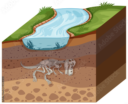 Soil layers with dinosaur fossil