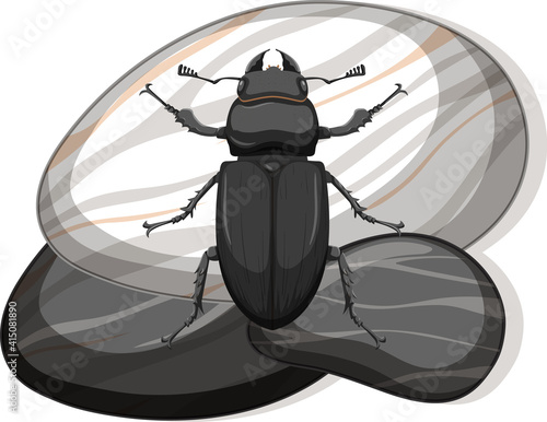 Top view of metallic dung beetle on a stone on white background