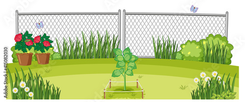 Outdoor plants garden scene