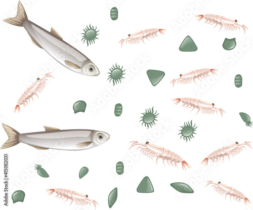 Fish and plankton on white background