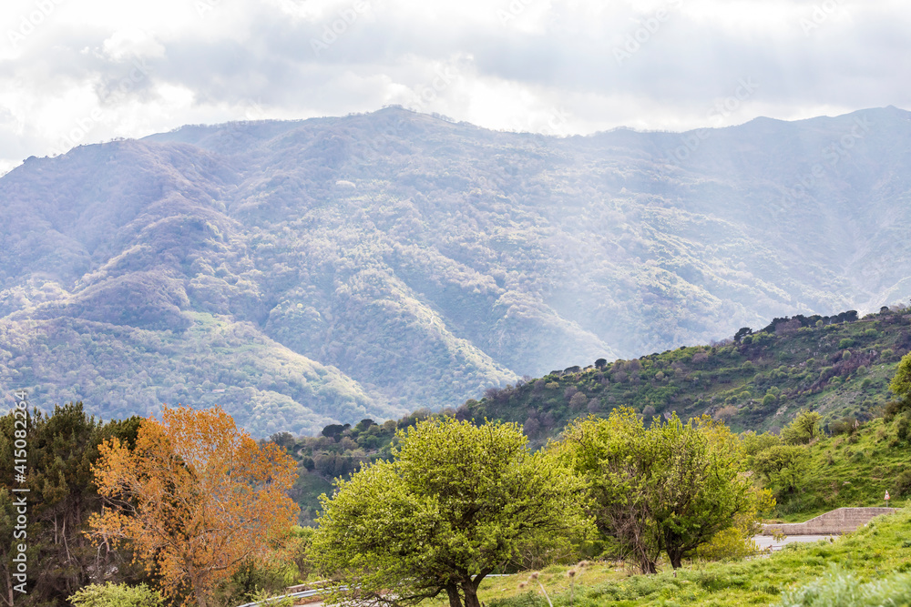Fototapeta premium Italy, Sicily, Messina Province, Francavilla di Sicilia. View of the forested hills around Francavilla di Sicilia.