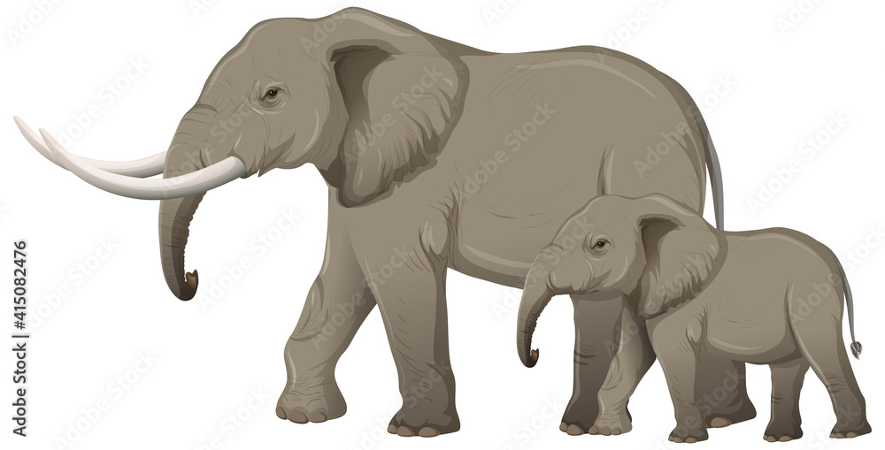 Obraz premium Adult elephant with young elephant in cartoon style on white background