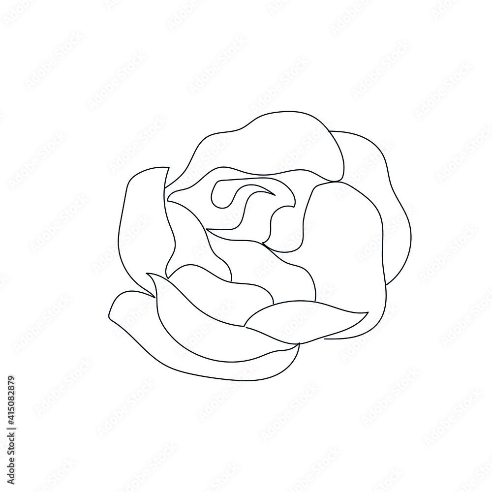 linear silhouette flower. Botanic decoration vector element. Graphic sketch. One line. 