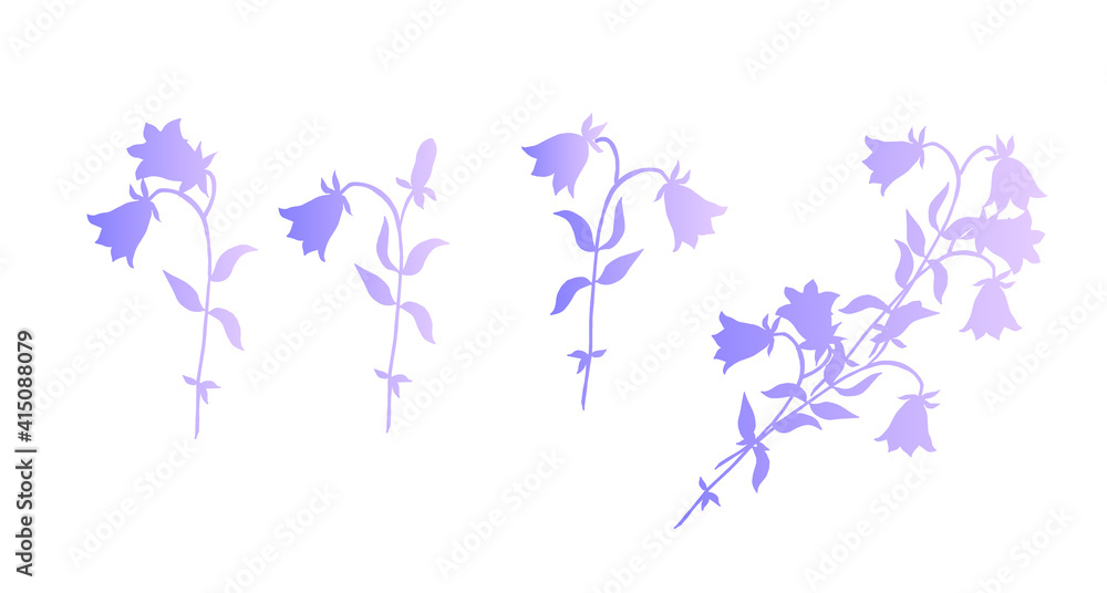 Flowers bells. Bouquet.  Vector illustration.