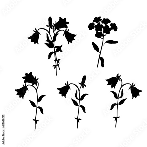 Flowers bells, forget-me-not. Black silhouette. Vector illustration.