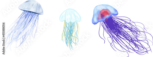 リアルなクラゲセット