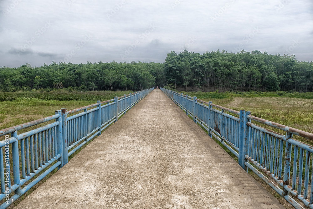 the road to the rubber plantation