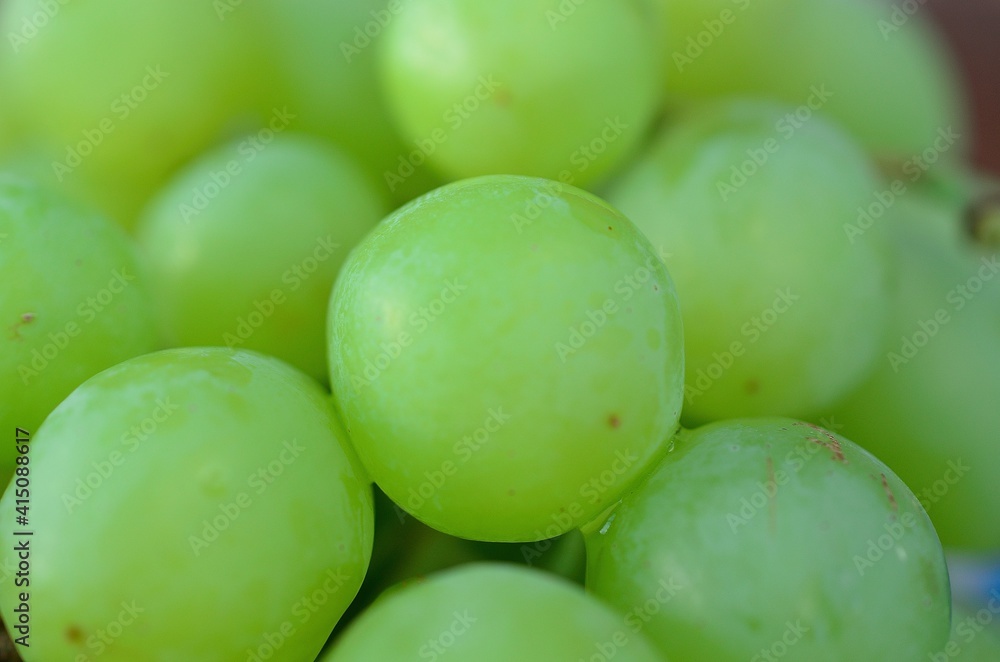 sweet green ripe grapes