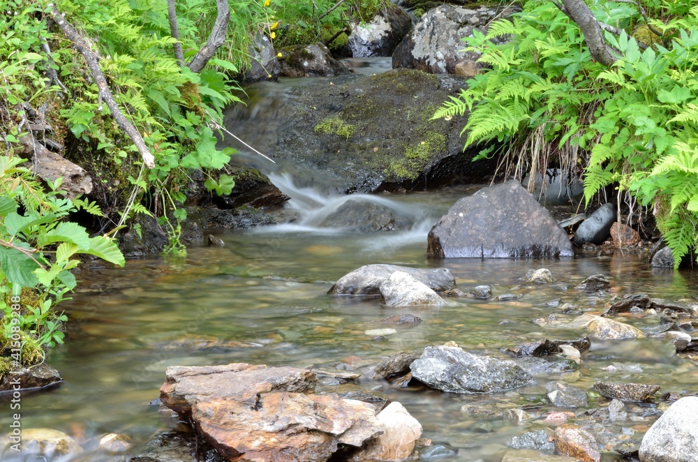 clean and clear serene mountain stream in summer wilderness clean and clear serene mountain stream in summer wilderness