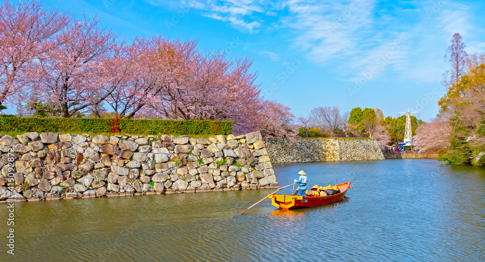 boat on the river in Cherry blossom
