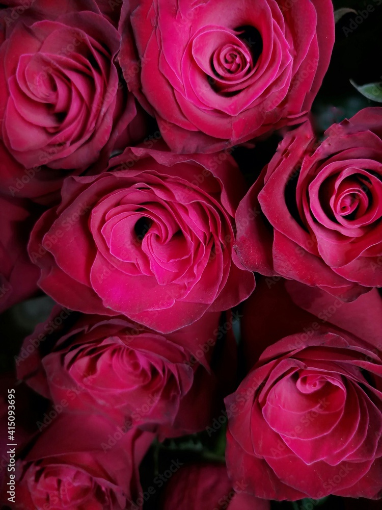bouquet of red roses bouquet of red roses