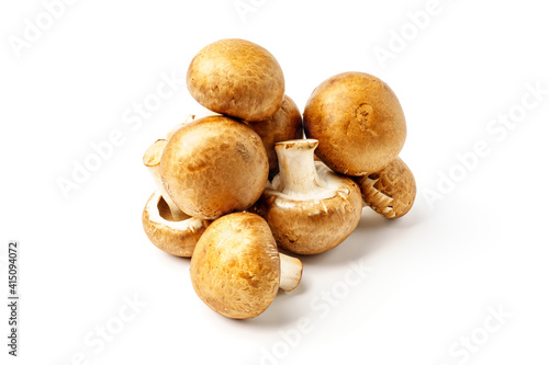 champignons royal, mushrooms isolated on white