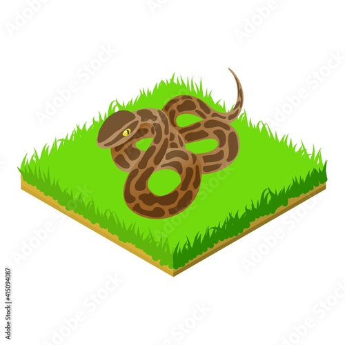 Boa constrictor icon. Isometric illustration of boa constrictor vector icon for web