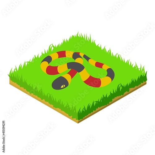 Coral snake icon. Isometric illustration of coral snake vector icon for web photo