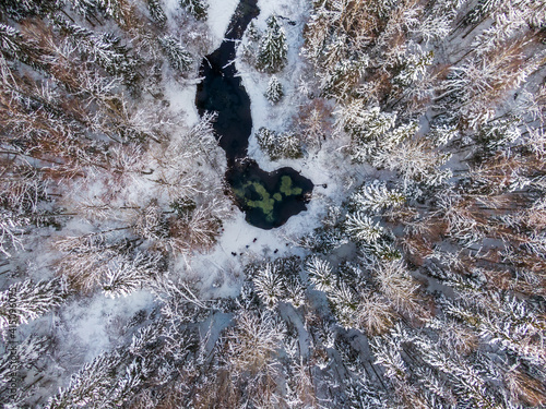 Siniallikad (Estonia) winter river in the forest photo