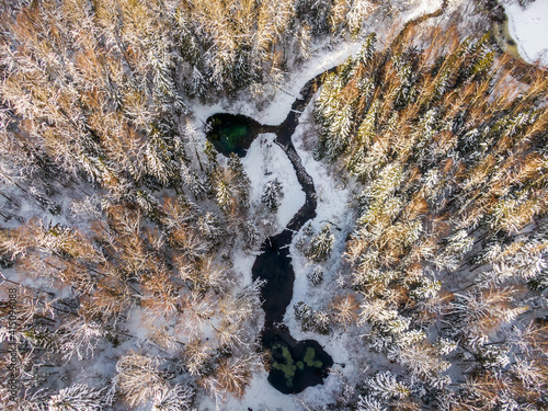 Siniallikad (Estonia) winter river in the forest photo