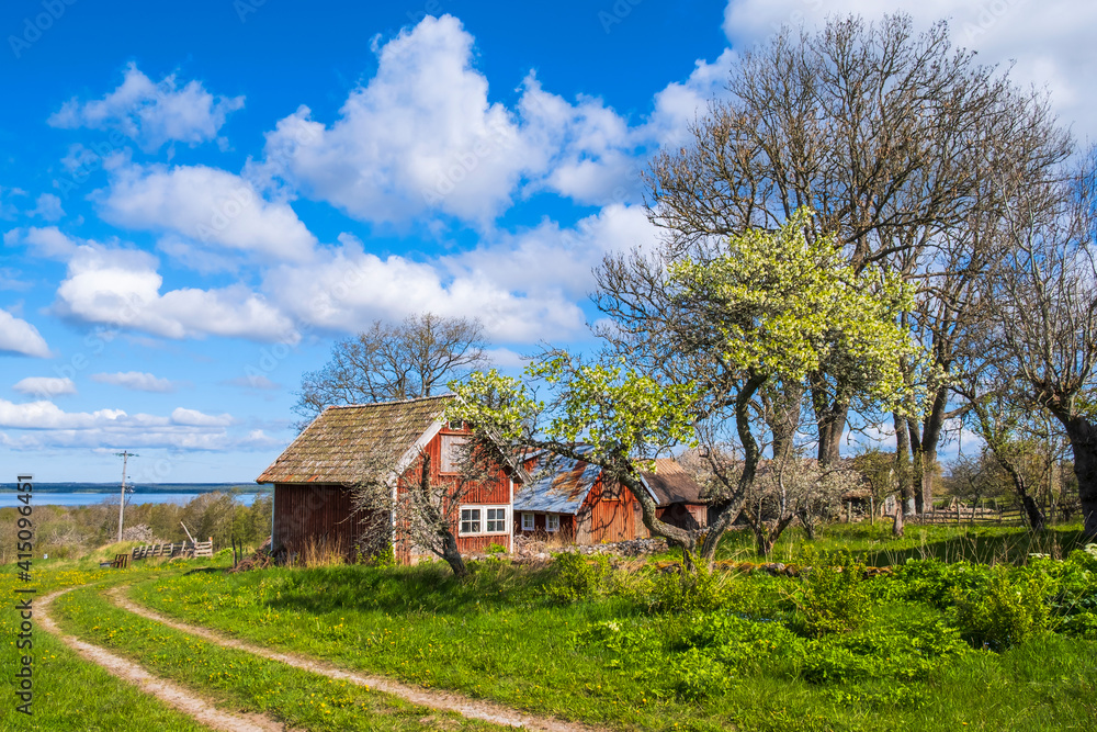 Fototapeta premium Farm in a rural landscape with a dirt road on the meadow