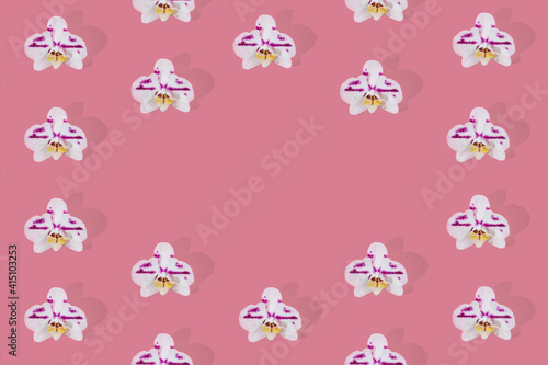 Purple spotted white phalaenopsis orchid blooms pattern on pink background. Orchid flower flat lay with empty circle in the center.