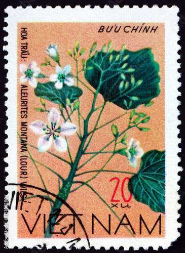 Postage stamp Vietnam 1977 mu oil tree, medium-sized tree
