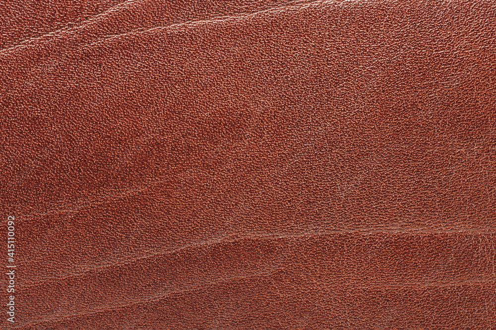 Fototapeta premium Brown skin texture with fold marks