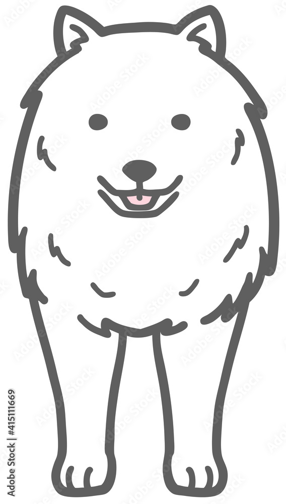正面を向いたサモエドの犬のイラスト Stock Vector Adobe Stock 正面を向いたサモエドの犬のイラスト Stock Vector Adobe Stock