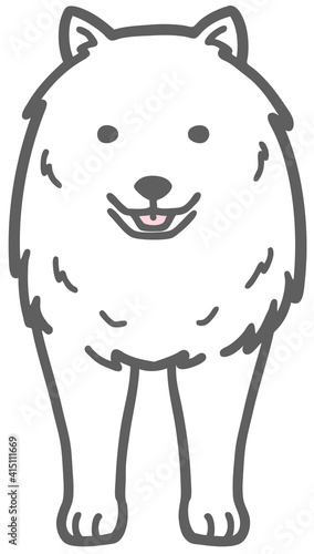 正面を向いたサモエドの犬のイラスト Vector De Stock Adobe Stock
