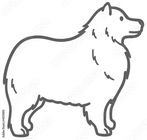 横向きのサモエドの犬のイラスト