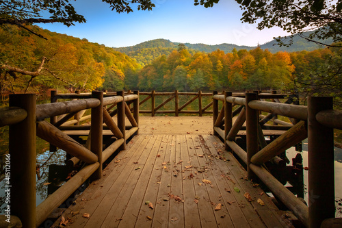Wooden pier on the lake in the forest at autumn © senerdagasan
