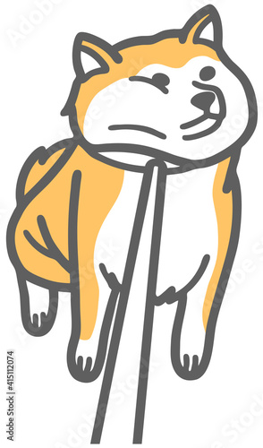 柴犬の帰宅拒否犬のイラスト