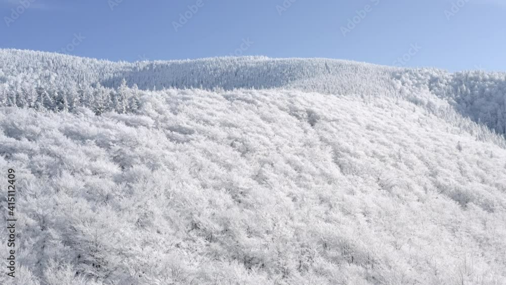 Rising Aerial Shot Of A Winter Wonderland Mountain Landscape, Forest Trees Covered In Snot Rising Aerial Shot Of A Winter Wonderland Mountain Landscape, Forest Trees Covered In Snot