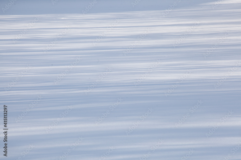Baumschatten, verschneite Eisfläche, Deutschland, Europa Baumschatten, verschneite Eisfläche, Deutschland, Europa