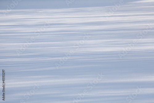 Baumschatten, verschneite Eisfläche, Deutschland, Europa