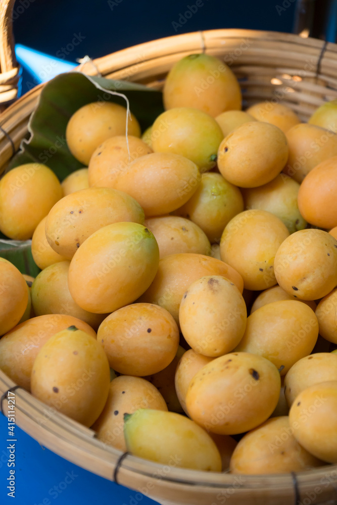 Fresh Sweet Yellow Marian Plum or Plum Mango that gardeners put in baskets to be sold Fresh Sweet Yellow Marian Plum or Plum Mango that gardeners put in baskets to be sold