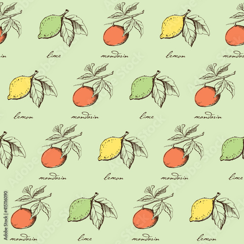 Seamless pattern of hand drawn lemons, limes and mandarins on green background. Perfect for textile manufacturing, wallpaper,  posters etc. Vector illustration