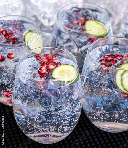 Summer Fresh Gin Tonic 