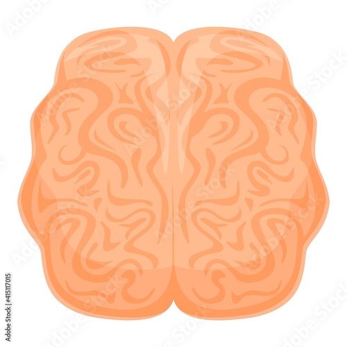 Human brain anatomy icon. Cartoon of human brain anatomy vector icon for web design isolated on white background