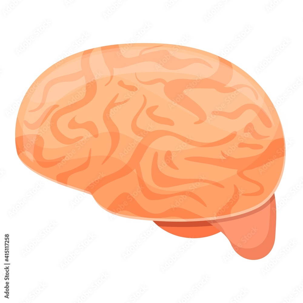 Human brain education icon. Cartoon of human brain education vector icon for web design isolated on white background Human brain education icon. Cartoon of human brain education vector icon for web design isolated on white background