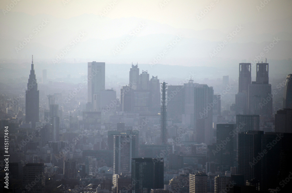 Fototapeta premium 新宿の街並み