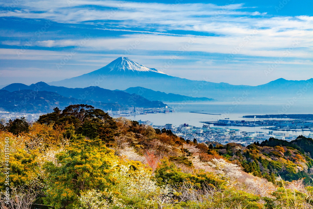 日本平から眺める富士山と桜そして清水港　静岡県静岡市にて