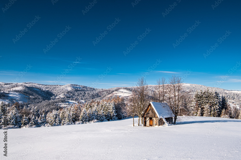Cottage house in the mountains during the winter