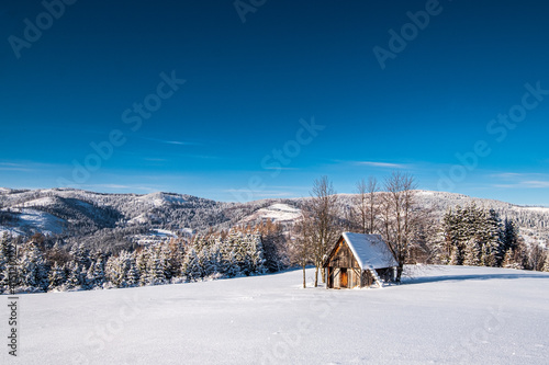 Cottage house in the mountains during the winter © Szymon