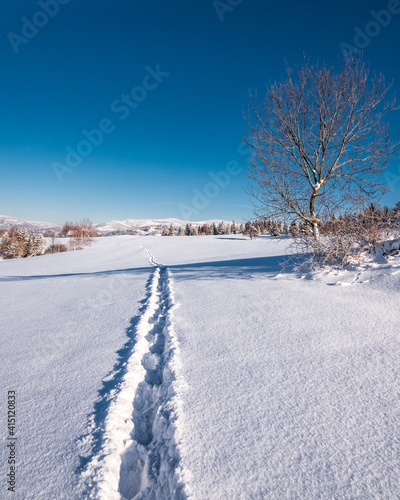 A road through a snowy field in the mountains