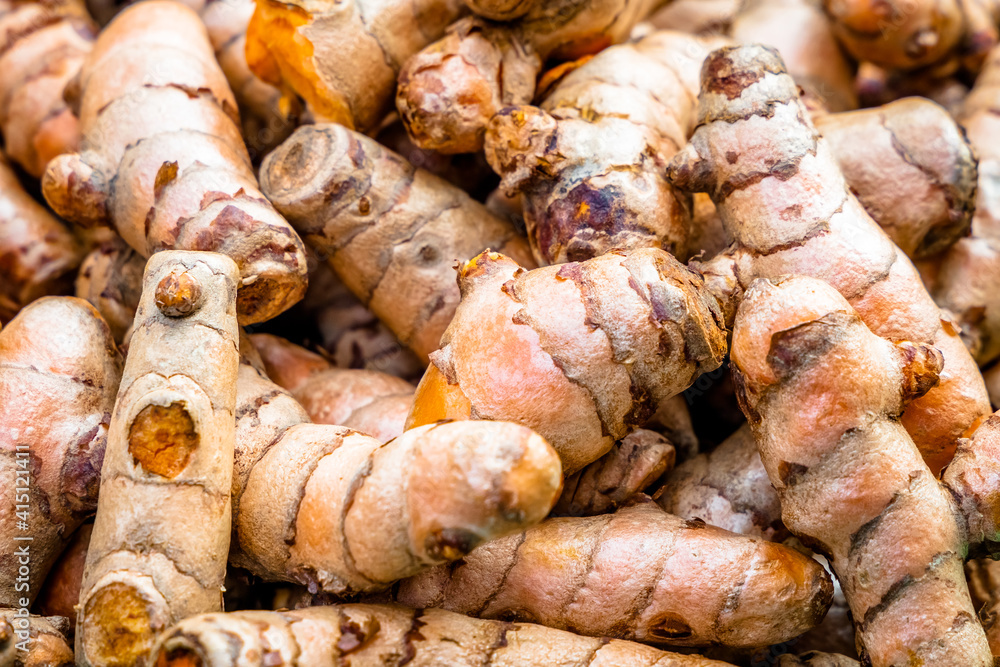 Turmeric roots closeup. Fresh harvest of many turmeric roots background texture. Turmeric roots closeup. Fresh harvest of many turmeric roots background texture.