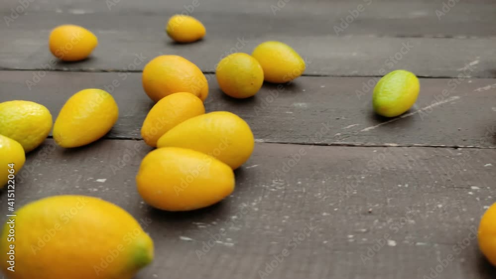 Fallen citrus fruits with decorative homemade mandarin Fallen citrus fruits with decorative homemade mandarin