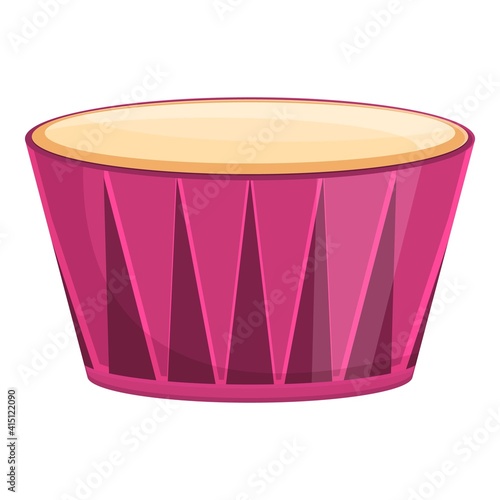 Drum instrument icon. Cartoon of drum instrument vector icon for web design isolated on white background photo